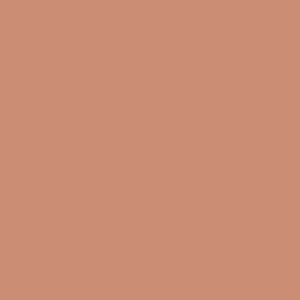 RAL 3012 Beige Red paint colour