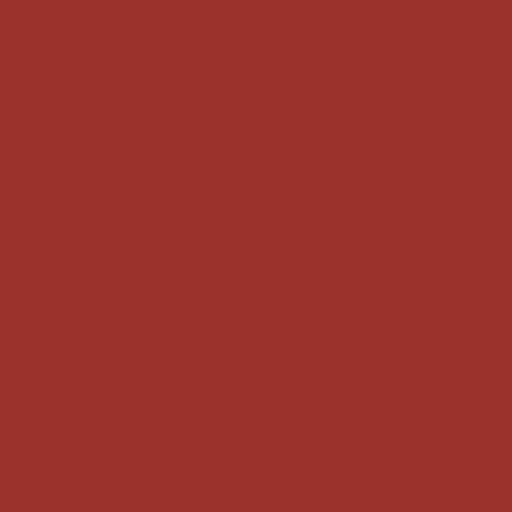RAL 3013 Tomato Red paint colour