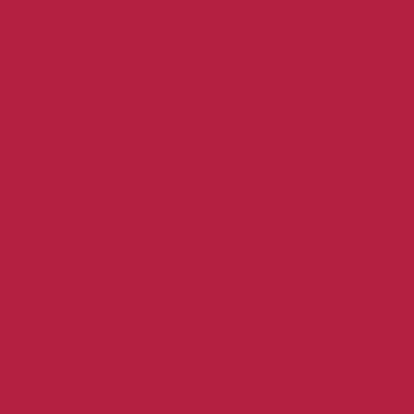RAL 3027 Raspberry Red paint colour