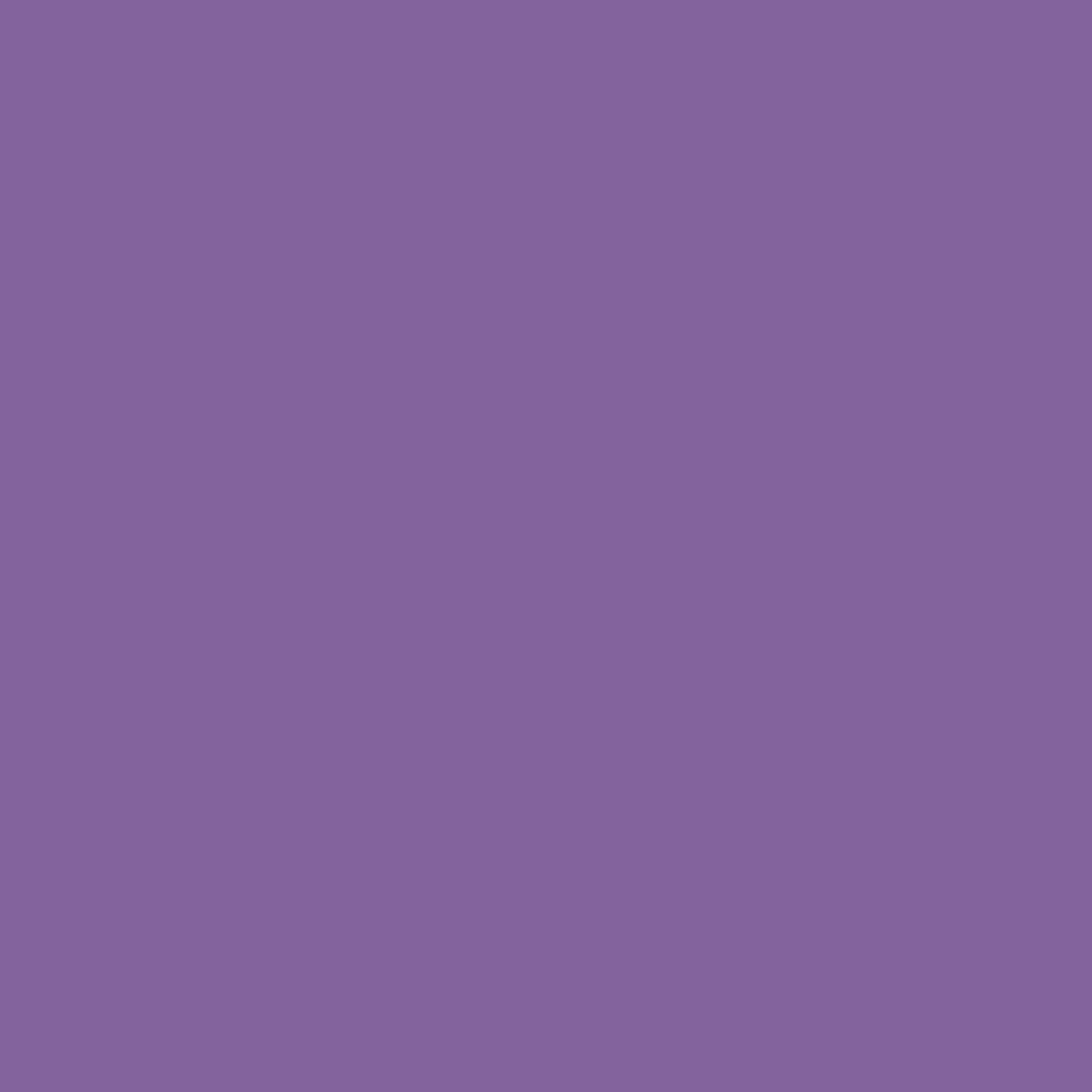 RAL 4005 Blue Lilac paint colour