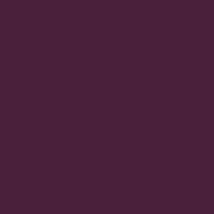 RAL 4007 Purple Violet paint colour