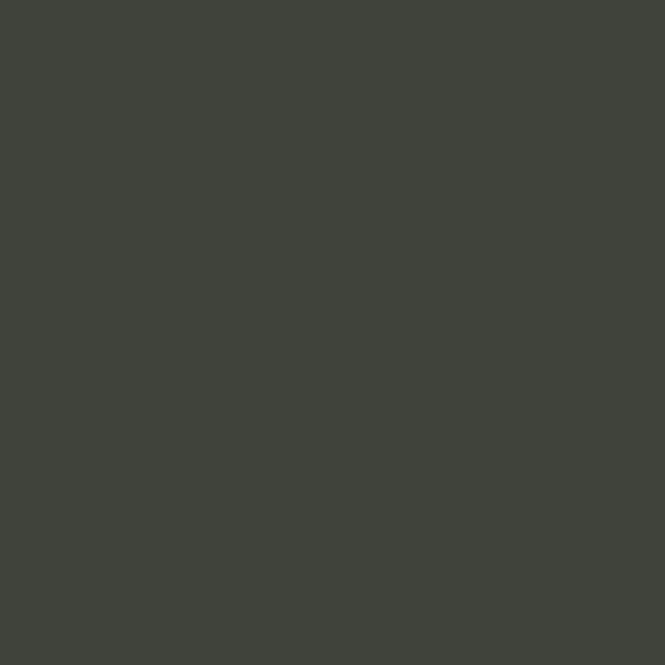 RAL 6006 Grey Olive paint colour