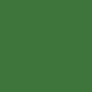 RAL 6010 Grass Green paint colour
