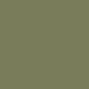 RAL 6013 Reed Green paint colour
