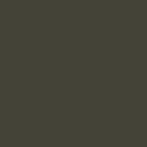 RAL 6014 Yellow Olive paint colour