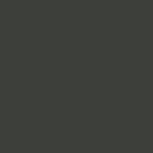 RAL 6015 Black Olive paint colour