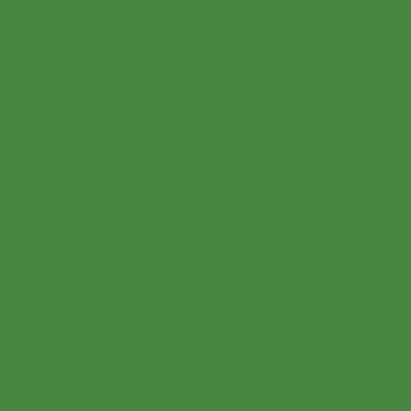 RAL 6017 May Green paint colour