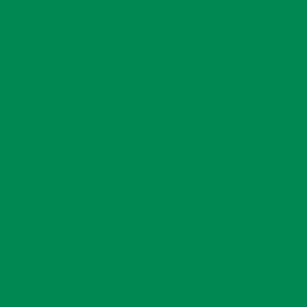 RAL 6024 Traffic Green paint colour