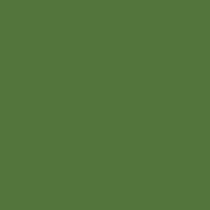 RAL 6025 Fern Green paint colour