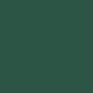 RAL 6028 Pine Green paint colour