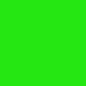 RAL 6037 Pure Green paint colour