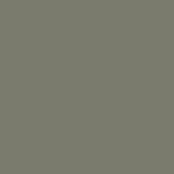 RAL 7003 Moss Grey paint colour