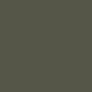 RAL 7013 Brown Grey paint colour