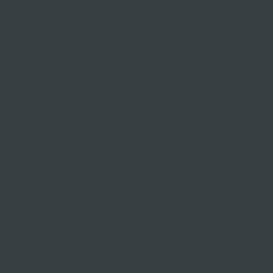RAL 7016 Anthracite Grey paint colour