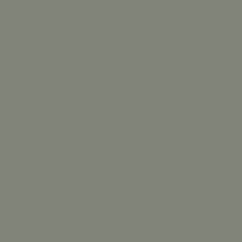RAL 7023 Concrete Grey paint colour