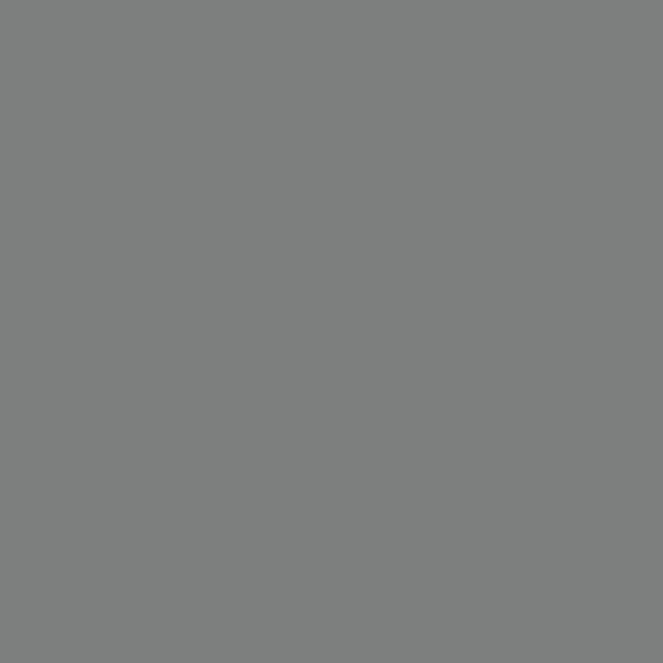 RAL 7037 Dusty Grey paint colour