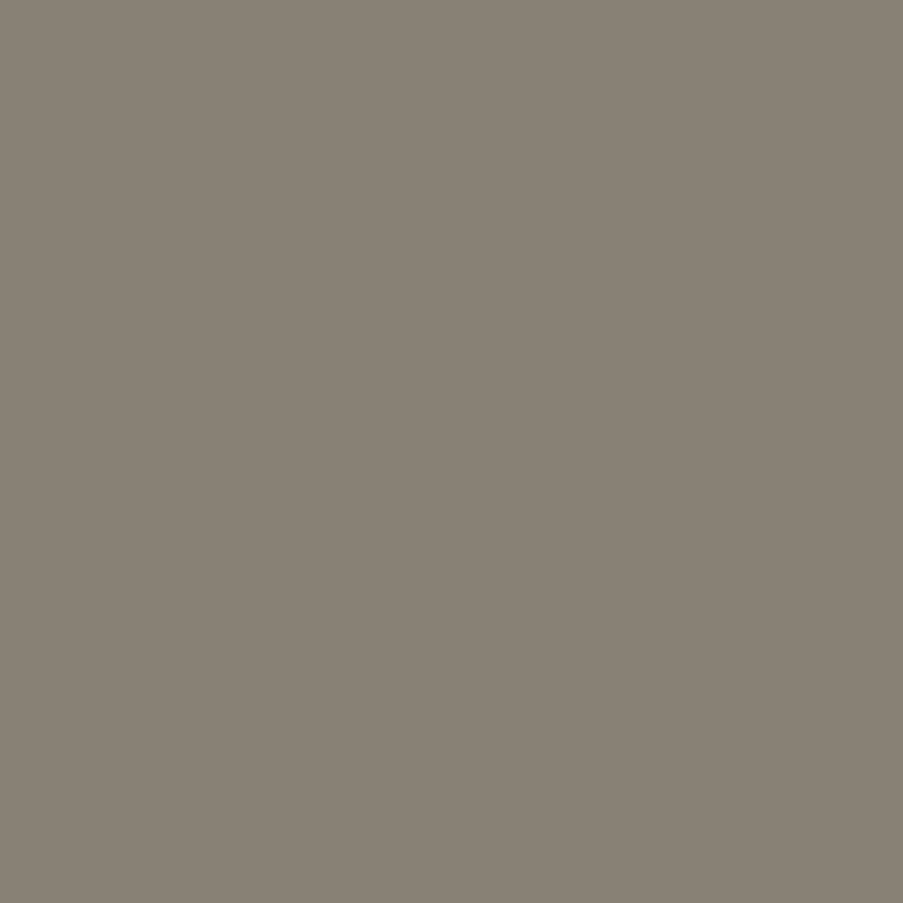 RAL 7048 Pearl Mouse Grey paint colour