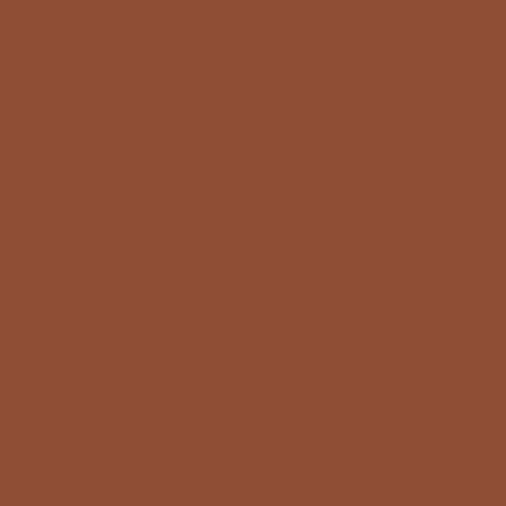 RAL 8004 Copper Brown paint colour