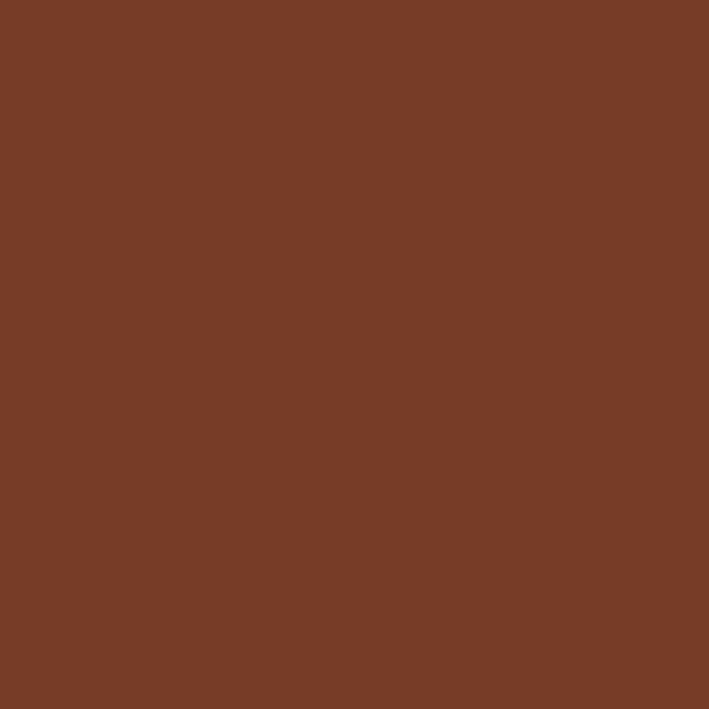 RAL 8029 Pearl Copper paint colour